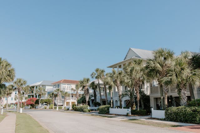 a suburban street with palm trees