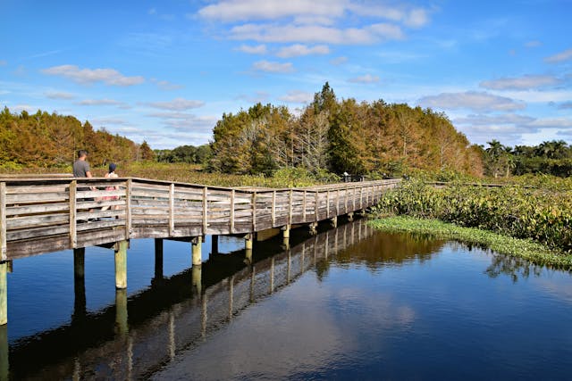 people walking on a bridge over a lake